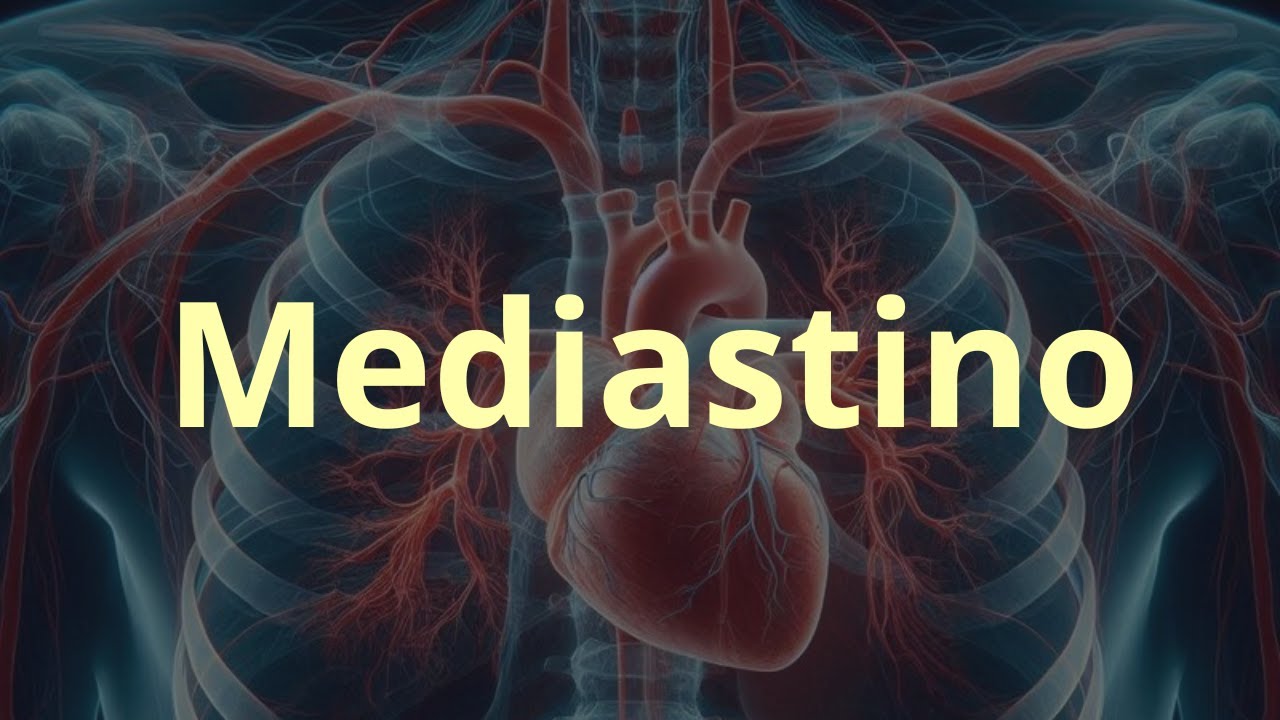 Mediastino