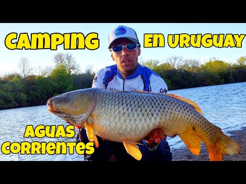 CAMPING en URUGUAY, AGUAS CORRIENTES, ACAMPAR Y PESCAR