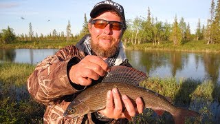 Очки для рыбалки polaroid fishing модель pr-p7227ac3