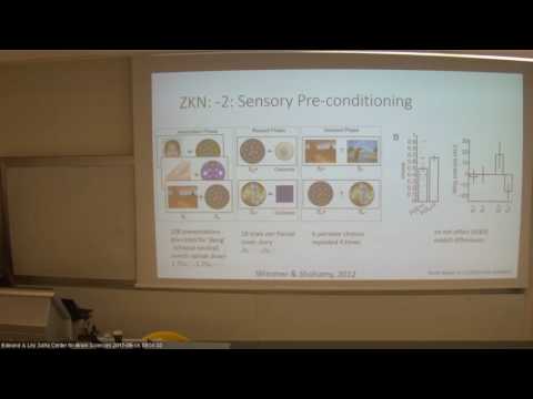 Tri center 2017 - Peter Dayan