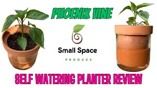 Phoenix Vine Self Watering Planter Review
