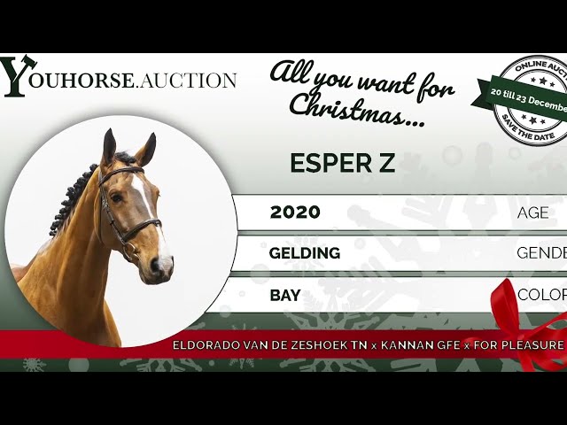 Esper jump off 5yo class