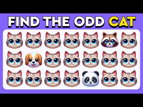 Find the ODD One Out - Animals Edition 🐵🐶🐼 Easy, Medium, Hard - 30 levels