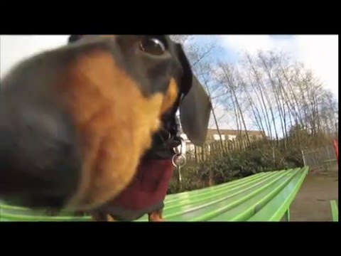 The Magnetic North - Pennylands