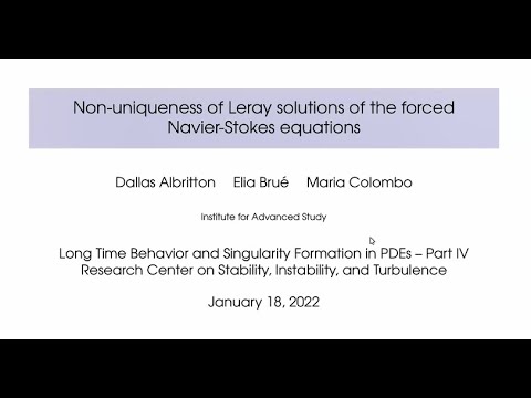 Dallas Albritton, Institute for Advanced Study