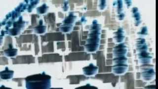 Robert Robinson - Chill Buds