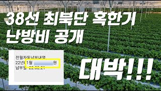 국내 최북단 38선 혹한기(12~2월) 1,400평 스마트팜 난방비 공개!!