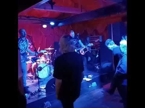 the Guardian singles playing at the Dive bar on Friday night in Dunedin 🌙 👌