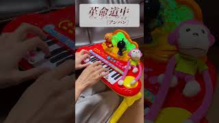 革命道中（アンパン）