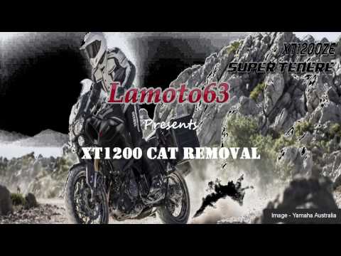 XT1200 Catalytic Converter Removal