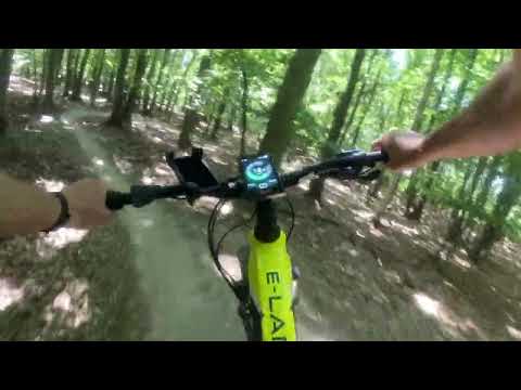 Crussis E-Largo 7.7 a TBK1