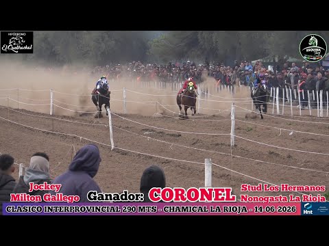 CORONEL (Nonogasta La Rioja) Hipodromo El Quebrachal Chamical La Rioja - 14-06-2026