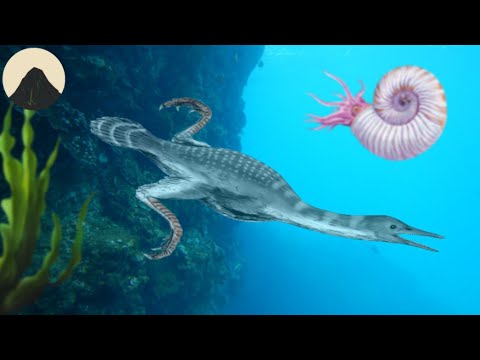 Hesperornis, die Pinguine des Dinosaurierzeitalters