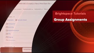 Group Assignments in Brightspace