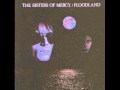 Sisters of Mercy Neverland (A Fragment) High ...