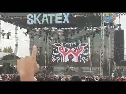 Doctor krapula skatex 2019