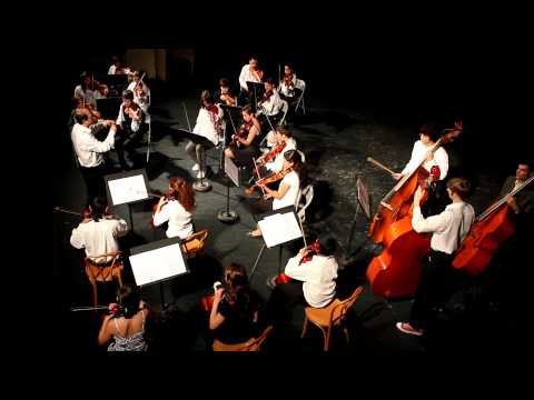 Leopold Mozart - Allegretto - Minuet I