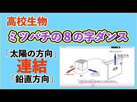 ミツバチはどのようにしてダンスを学ぶのか