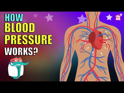 How Blood Pressure Works? | BLOOD PRESSURE | What Is Blood Pressure | Dr Binocs Show | Peekaboo Kidz