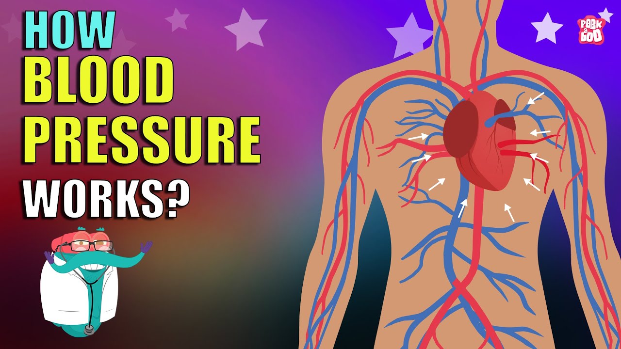 How Blood Pressure Works? | BLOOD PRESSURE | What Is Blood Pressure | Dr Binocs Show | Peekaboo Kidz