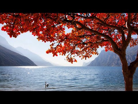 Norma Bruni & Orch. Barzizza - Sole d'ottobre (The October Sun) 1941