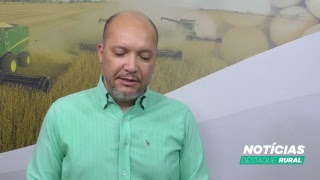Miniatura do vídeo