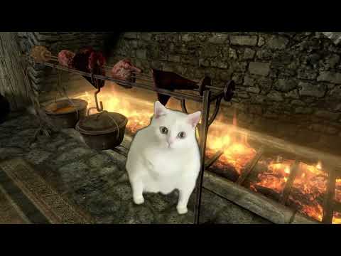 When the Khajiit came to the tavern...