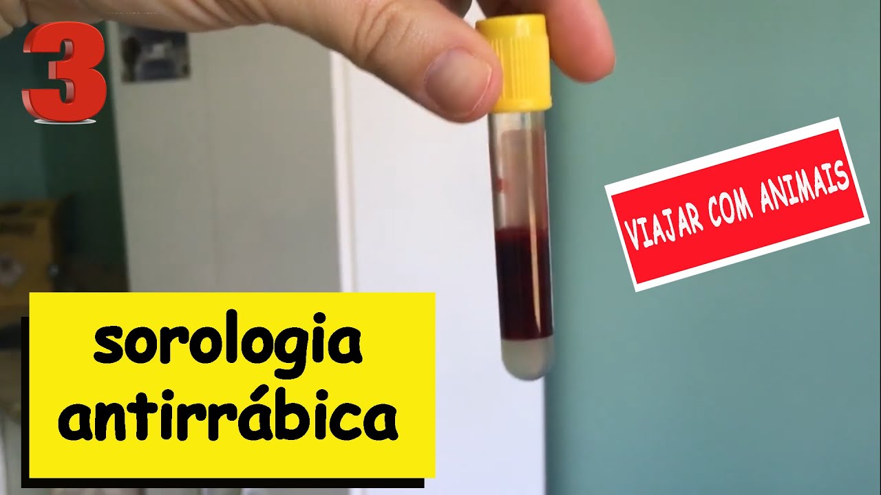 Watch Now SOROLOGIA ANTIRRÁBICA para cães e gatos SOROLOGIA ANTIRRÁBICA para cães e gatos