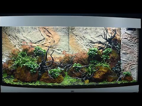 Watch Video on YouTube