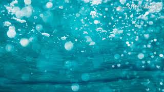 Download lagu Deddy Dores Hatiku Seputih Gaunmu #lagudeddydores mp3 Download lagu Deddy Dores Hatiku Seputih Gaunmu #lagudeddydores mp3