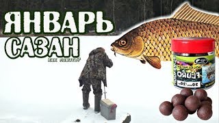 На что лучше ловить сазана в феврале