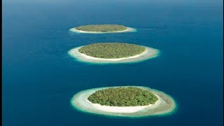 What was Blandongdiensten System by Bhat Khurshid #breaking #blackpink #sami #history #9th