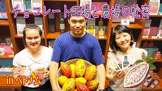 【カカオからチョコレートができるまで】世界が注目！ベトナム産チョコレートの魅力を徹底解説！カカオ農園とチョコレート工場にいってきました