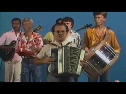 Ze Calixto - Delicado (Waldir Azevedo)