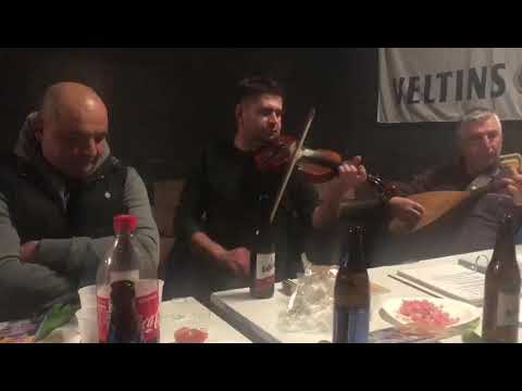 Izvorna uživo slavisa i tigar 2021