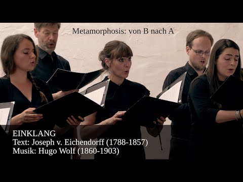 EINKLANG (Hugo Wolf) | Orchid Kammerchor Bremen