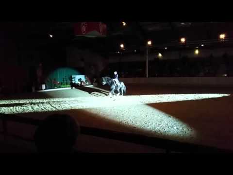 Rubinio NRW Auktionsparade 2015