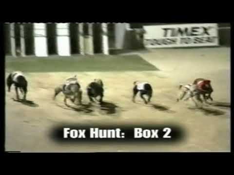 1991 Melbourne Cup | Fox Hunt