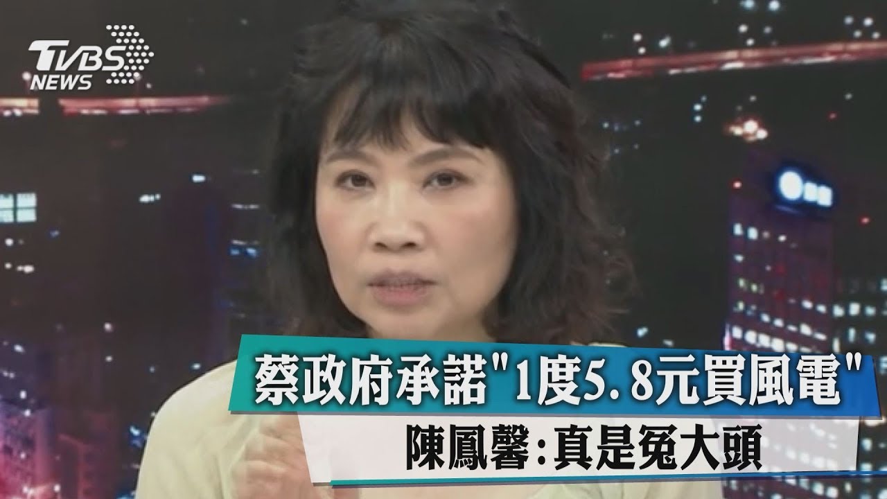 蔡政府承諾「1度5.8元買風電」 陳鳳馨:真是冤大頭