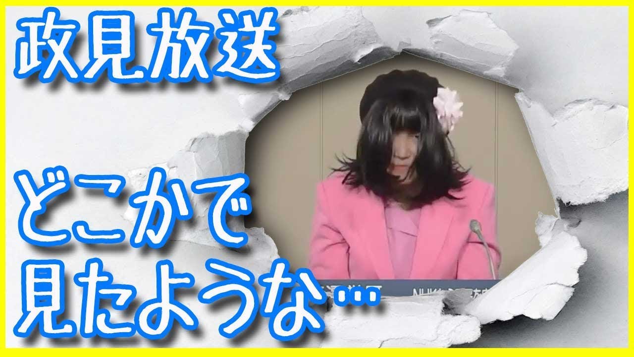 【ピンクで政見放送】自民党政経塾第5期生で某ホテルの…？【NHKから国民を守る党】小山日奈子