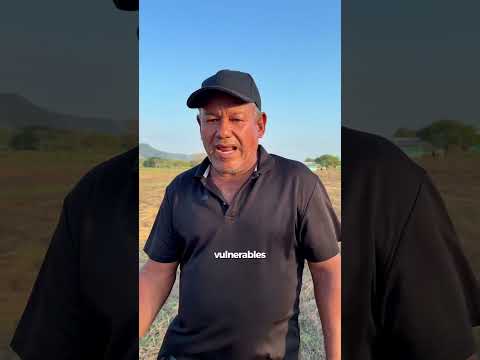 Predio La Constancia, en El Copey, Cesar.