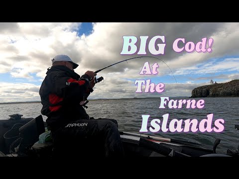 SIB FISHING UK, MASSIVE Pollock, BIG COD and MACKEREL.