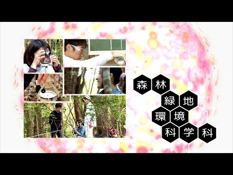 190032　宮崎大学農学部紹介　森林緑地環境科学科〈2019年8月改訂〉