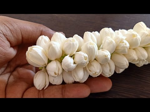 simple&easy trick to string jasmine flower closely/how to tie jasmine garland/malligai poo kattuthal