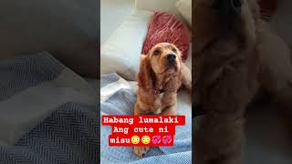 Download lagu gusto Rin sa sofa umupo at humiga🤣 mp3