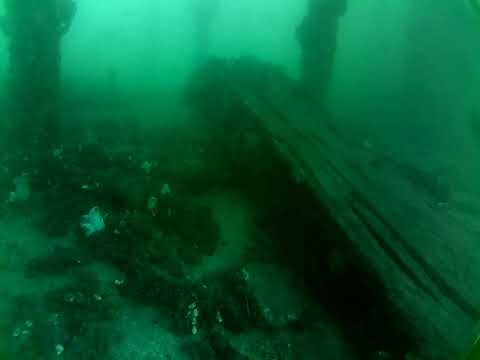 Edithburgh Live by AusOcean 30/03/2023