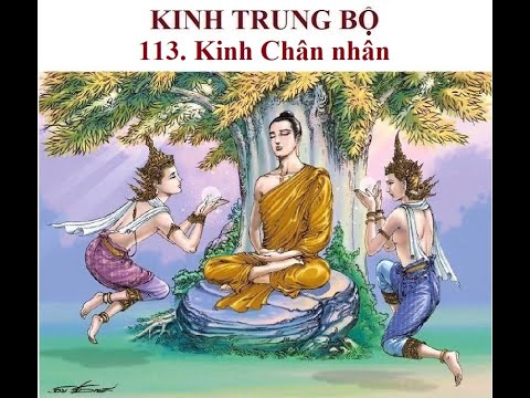 The Middle Length Discourses - 113. The Sutta of the True Man