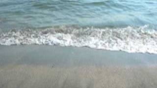 BUCK-TICK　UNDER THE MOONLIGHT