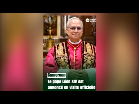 Alt Text: A detailed comparison chart showing the performance metrics of our top three product models. Image Title: Perfor...