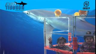 DIA 3 Expo Tiburon153